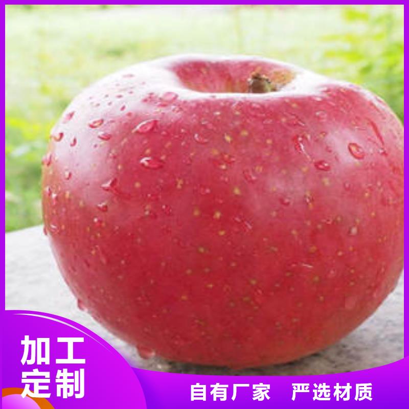 红富士苹果优良材质