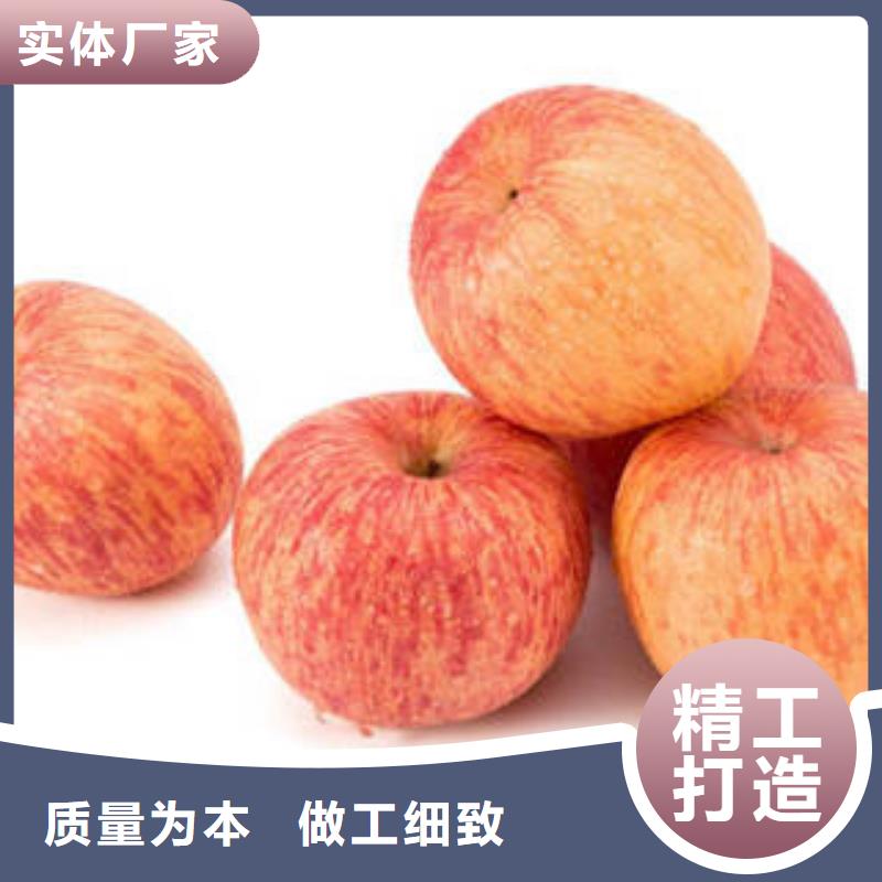 红富士苹果,【苹果种植基地】合作共赢