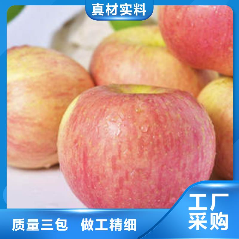 红富士苹果诚信可靠