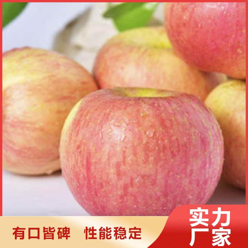 红富士苹果全新升级品质保障