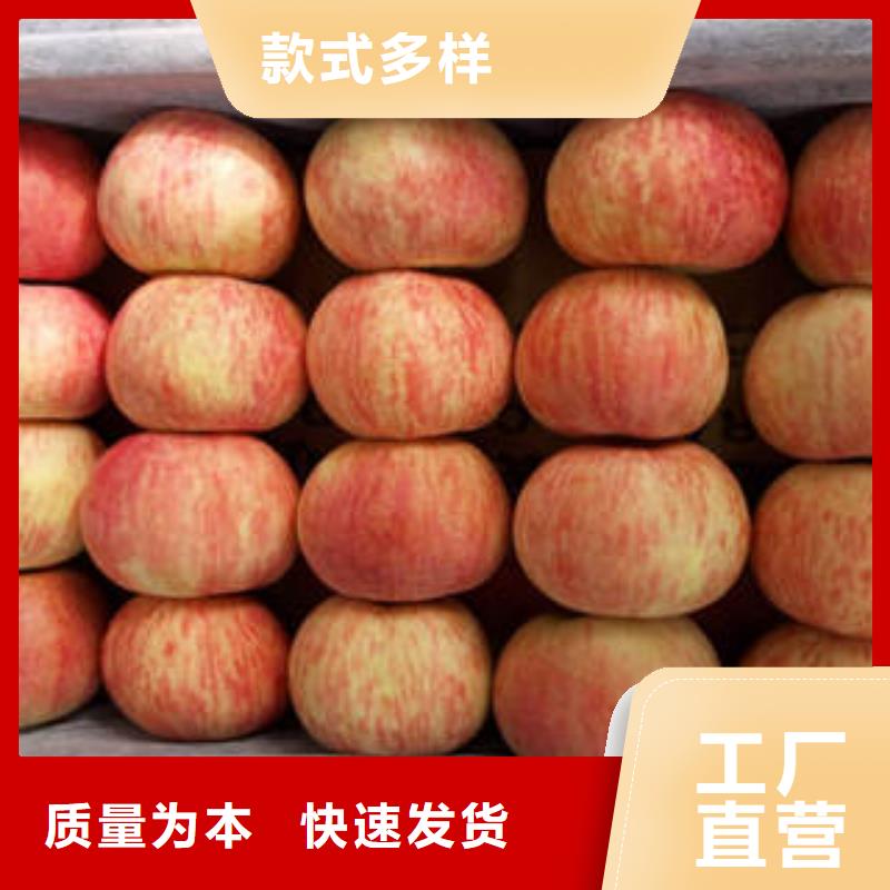 红富士苹果,嘎啦苹果优良工艺