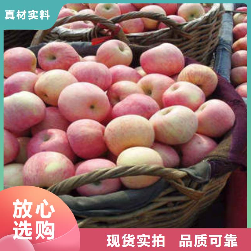 红富士苹果苹果货到付款
