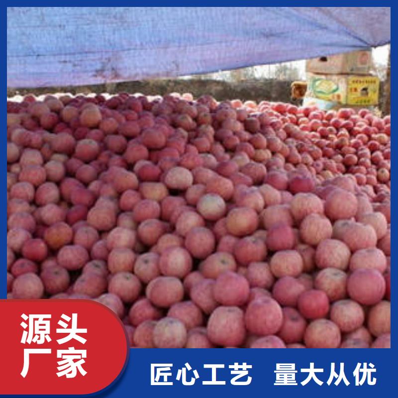 红富士苹果红富士苹果批发把实惠留给您