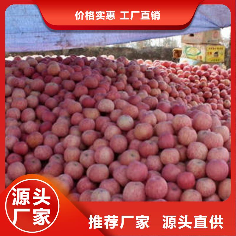 红富士苹果定制定做