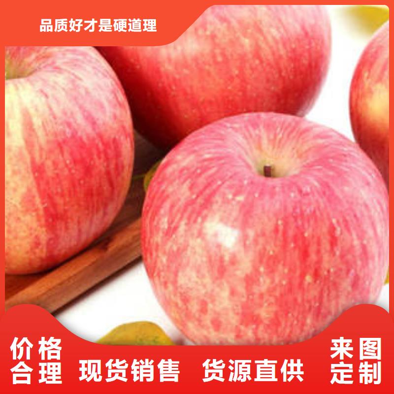 红富士苹果专业设计