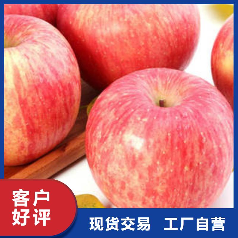 【红富士苹果24小时下单发货】