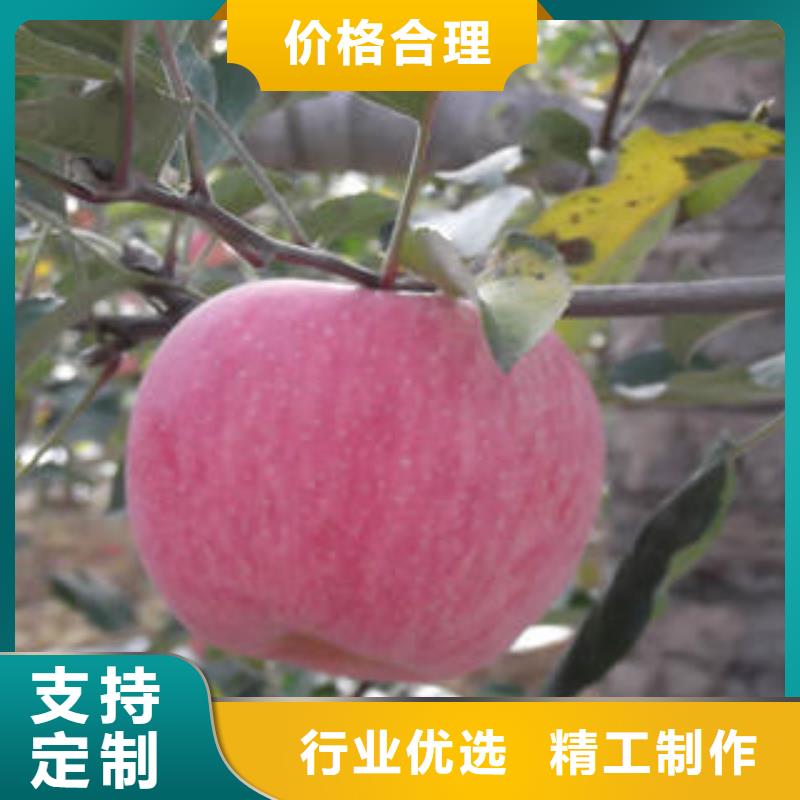 红富士苹果快捷的物流配送