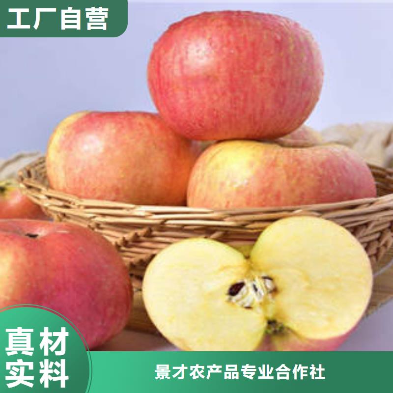 红富士苹果嘎啦苹果我们更专业