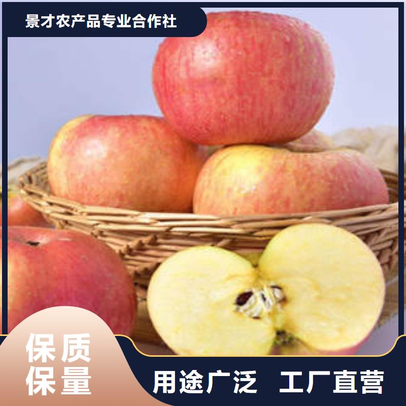 红富士苹果_嘎啦苹果厂家直销放心