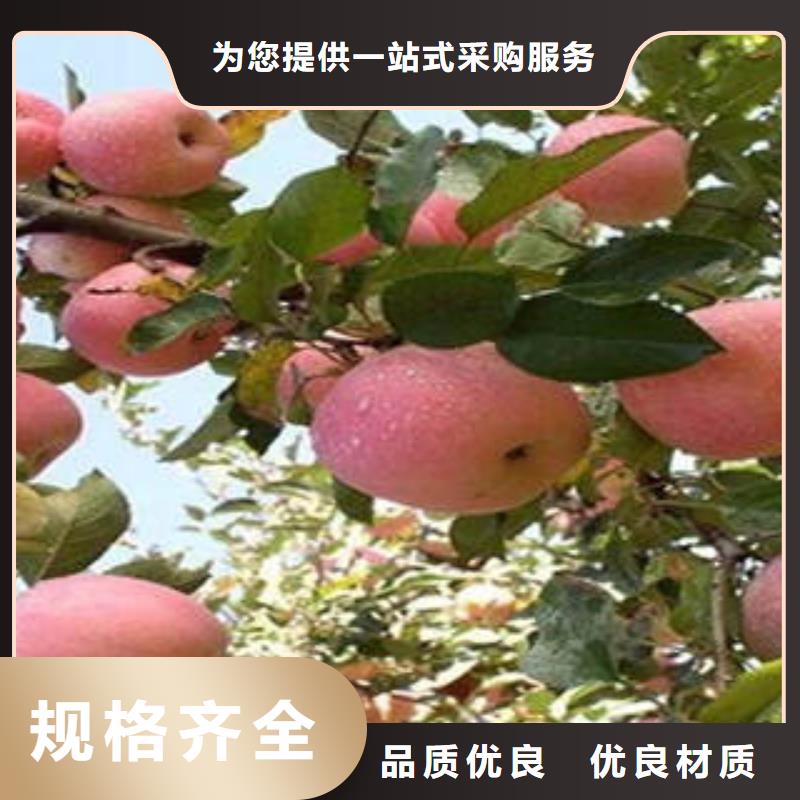 红富士苹果_嘎啦苹果产品性能