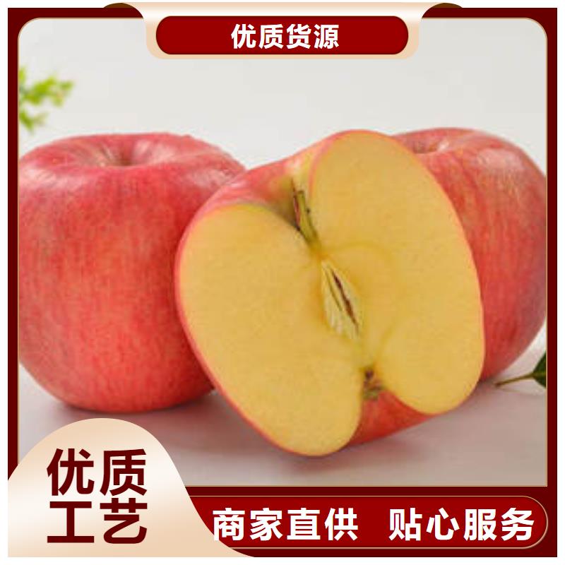 红富士苹果严格把关质量放心
