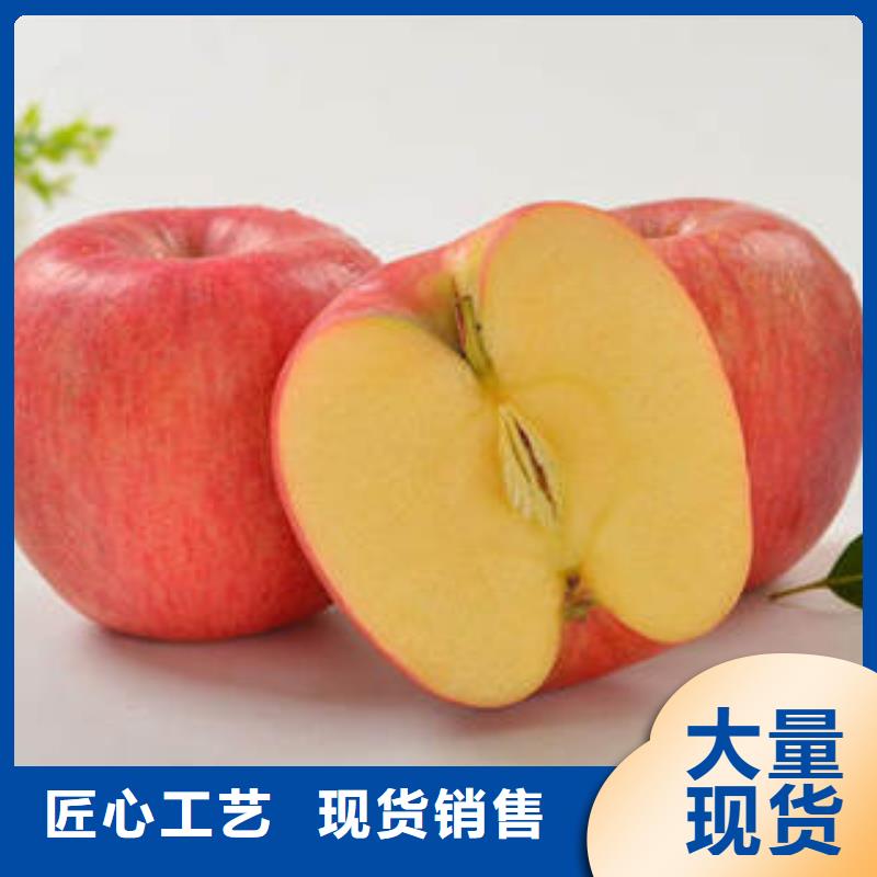 红富士苹果-嘎啦苹果厂家精选
