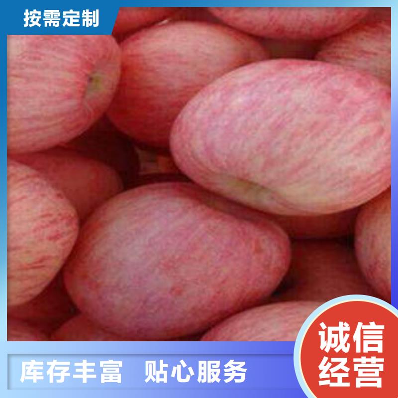 红富士苹果苹果按需定制