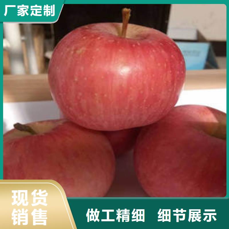 红富士苹果红富士苹果产地实体诚信经营