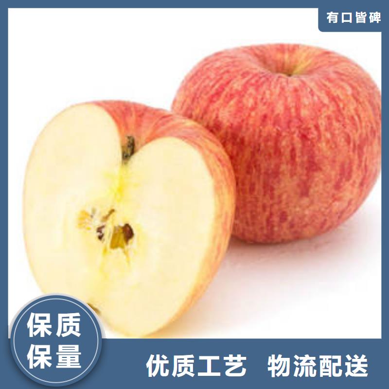 红富士苹果苹果种植基地采购无忧