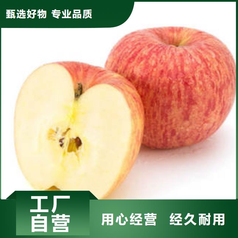 红富士苹果嘎啦苹果厂家直营