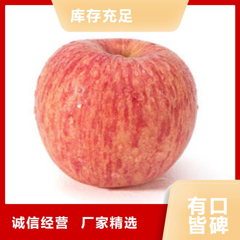 红富士苹果红富士苹果产地实体诚信经营