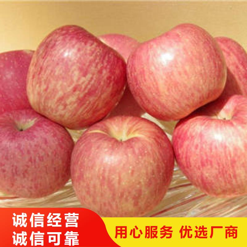 红富士苹果_嘎啦苹果产品性能