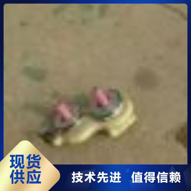 G203，193卷纬机锭带盘配和槽筒机使用
