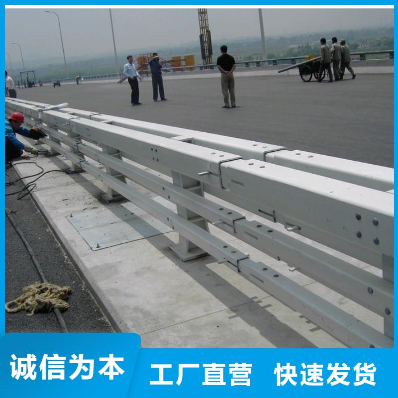 【护栏】高速开口栏网精心选材
