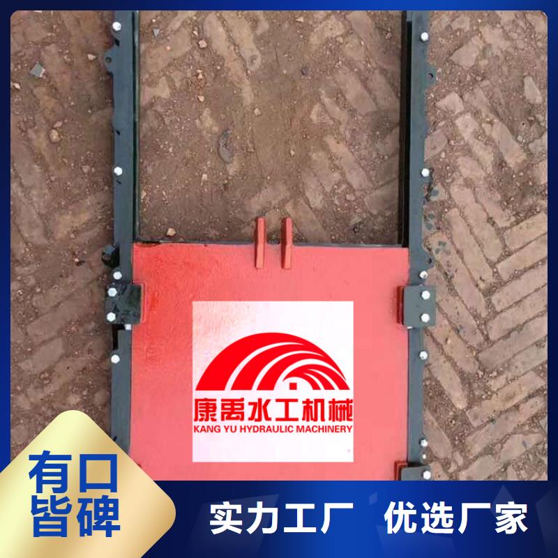 闸门实力派厂家