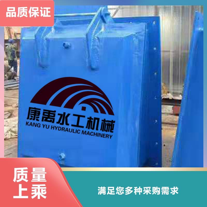 闸门专注质量