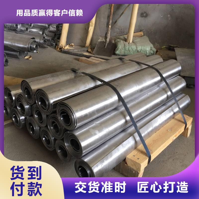电动推拉铅门价格/报价