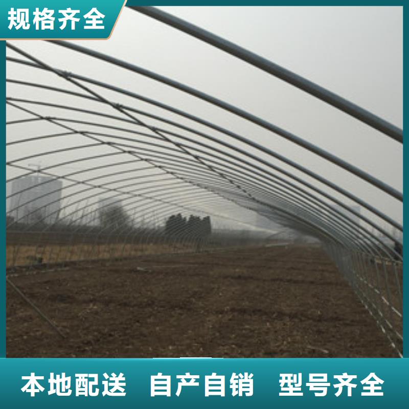 大棚管扁钢精工制作