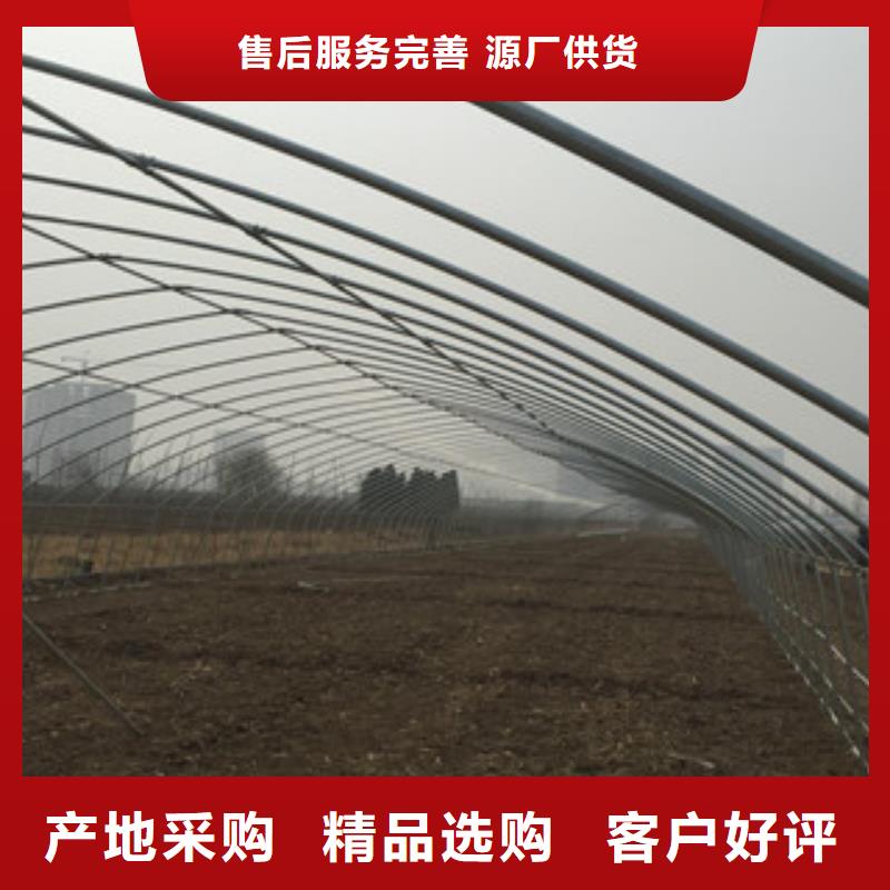 大棚管H型钢设计合理