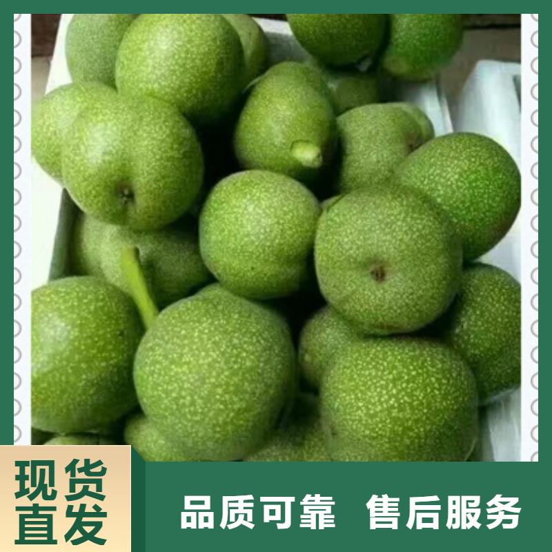 核桃苗花椒苗好货采购
