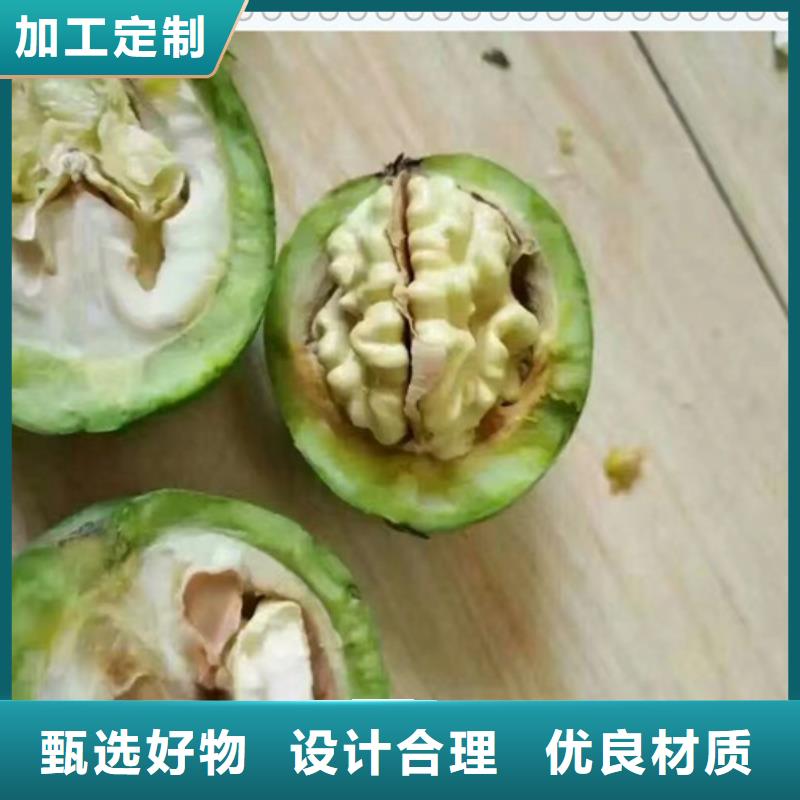 核桃苗桃树苗精心打造