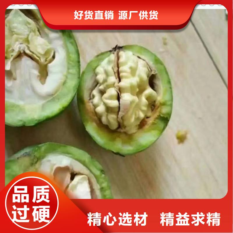 核桃苗蓝莓苗超产品在细节