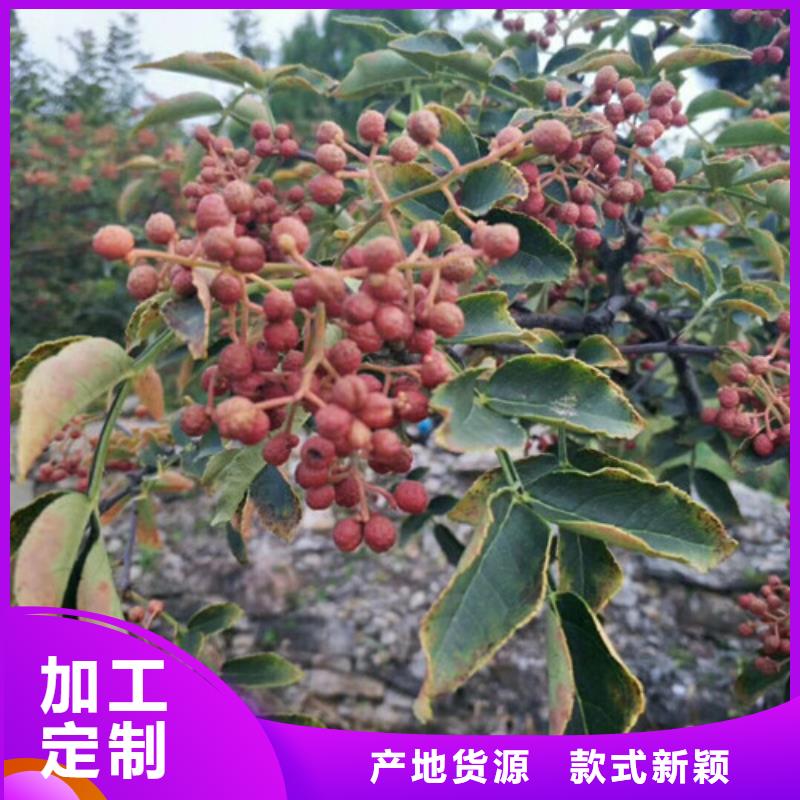 花椒苗_梨树苗甄选好物