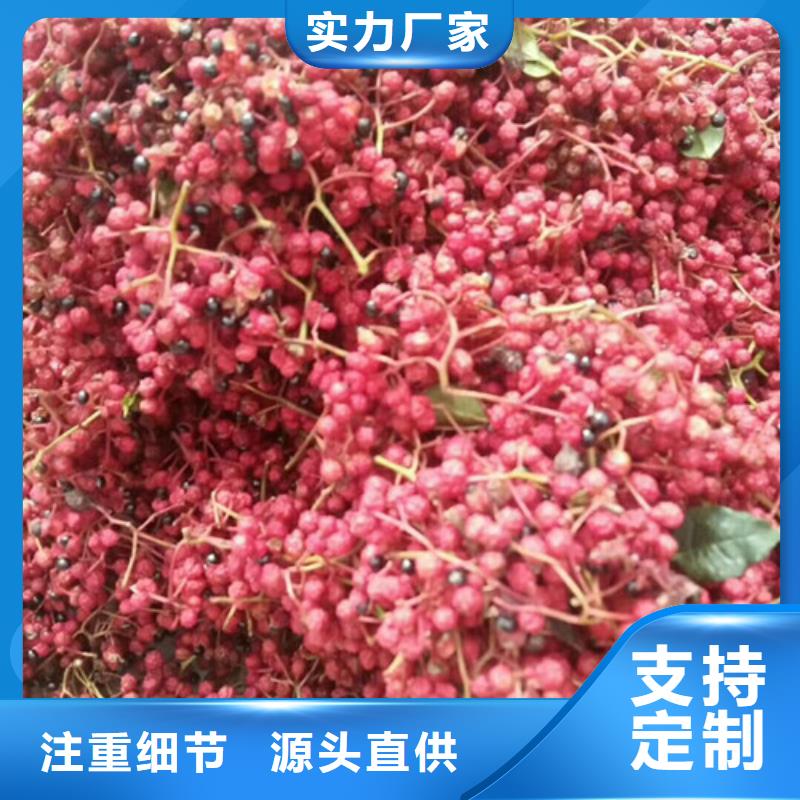 花椒苗苹果苗设计制造销售服务一体