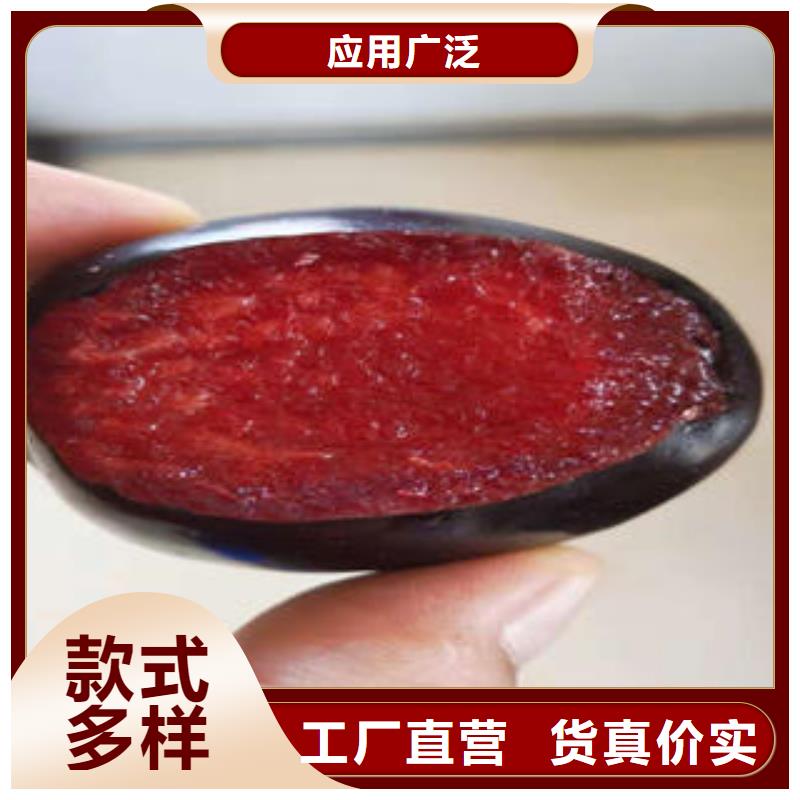 李子苗葡萄苗品质优良