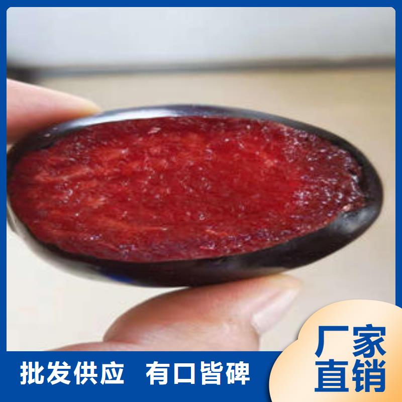 李子苗【核桃苗】满足多种行业需求