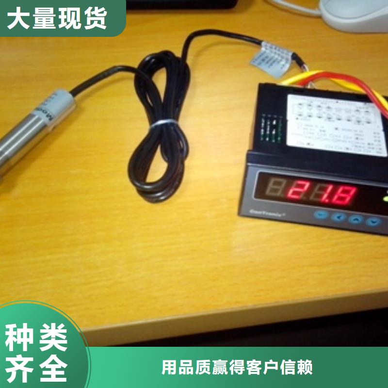 IRTP300L【金属管浮子流量计】支持拿样