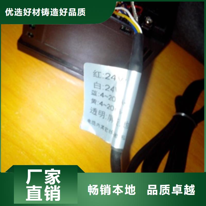 IRTP300L_金属转子流量计专心专注专业