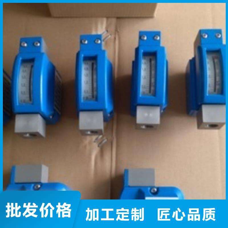 【金属浮子流量计高压吹扫装置实体厂家支持定制】
