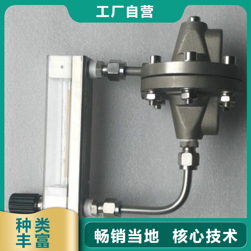 吹扫装置金属管浮子流量计欢迎来厂考察