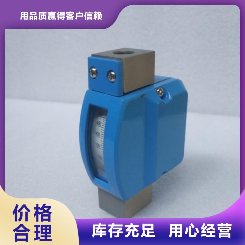 微小流量计吹扫装置货源直供