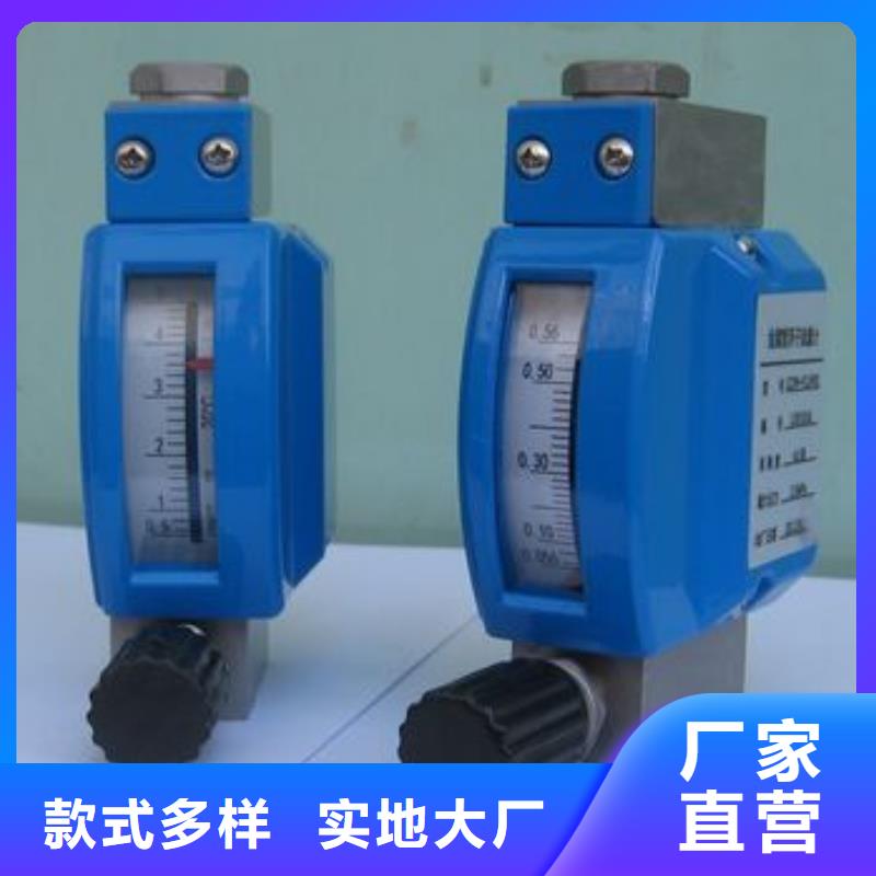 微小流量计_吹扫装置货源足质量好
