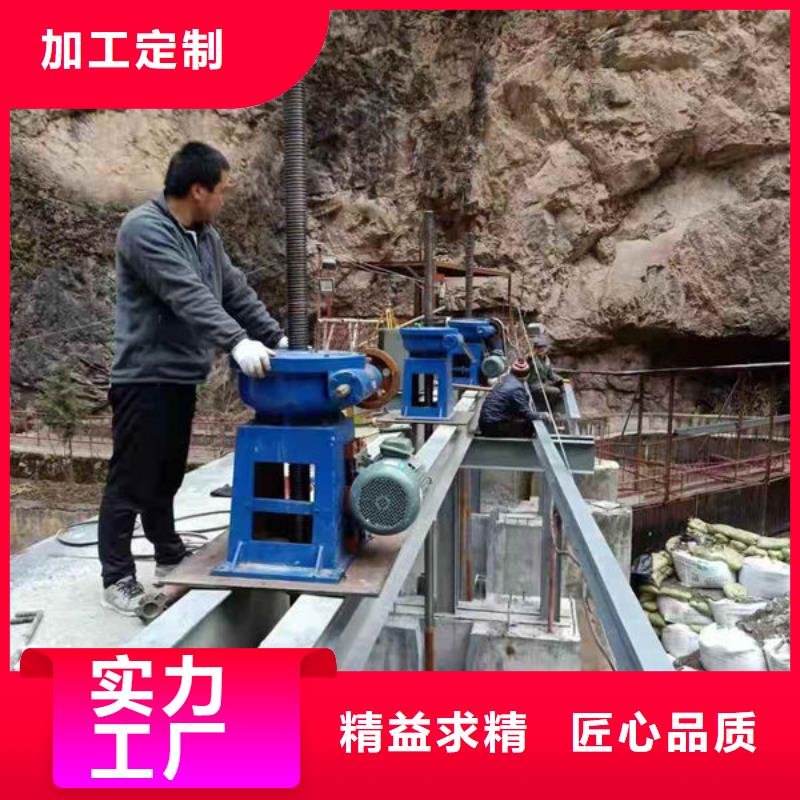 螺杆式启闭机,斜拉式启闭机多行业适用
