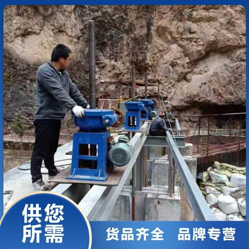 螺杆式启闭机-摇摆式启闭机工厂自营