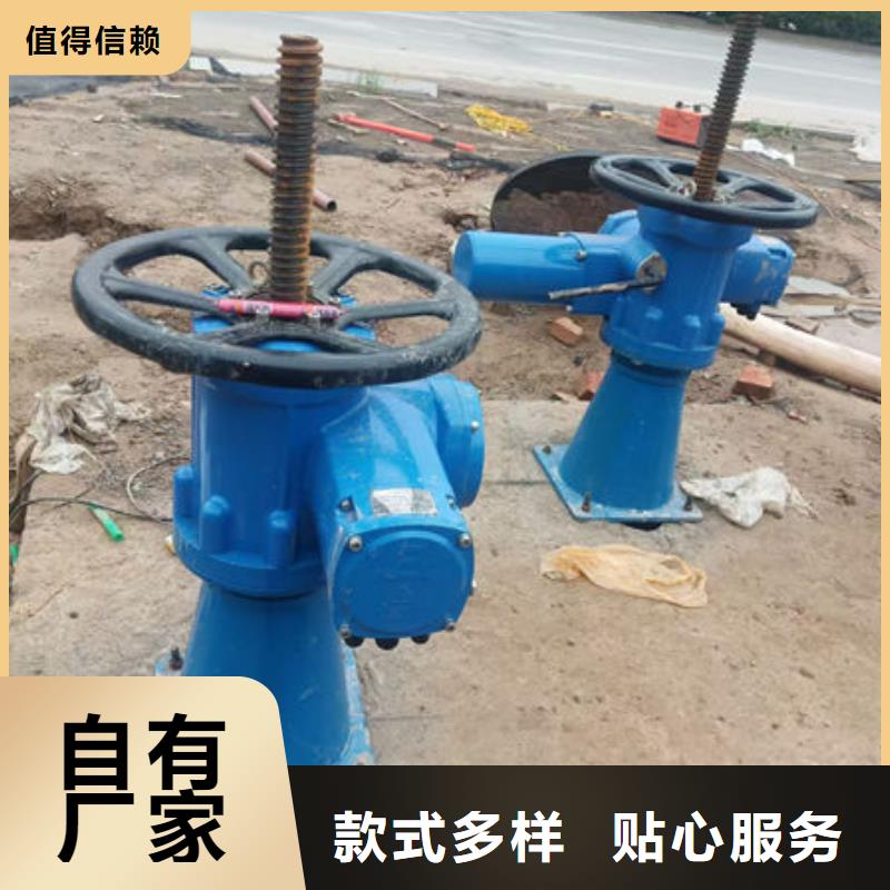 螺杆式启闭机-斜拉式启闭机多年行业经验