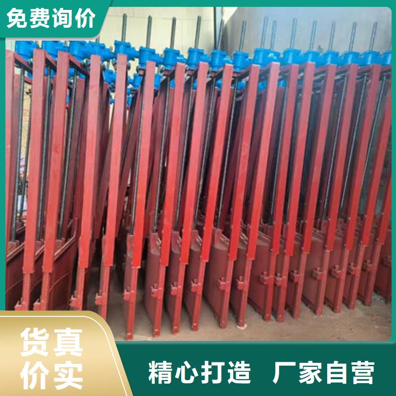 铸铁闸门-泵站铸铁闸门品质保证