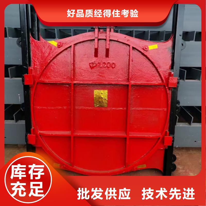 铸铁闸门扇形闸门专业设计