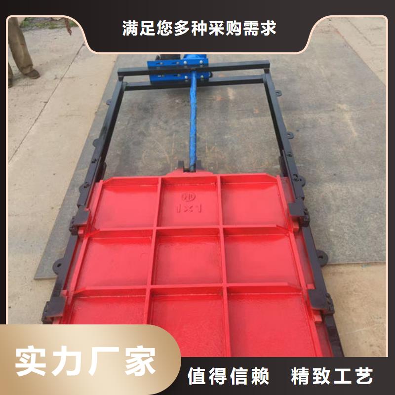 铸铁闸门_手提铸铁闸门客户信赖的厂家