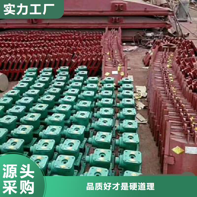 铸铁闸门-泵站铸铁闸门品质保证