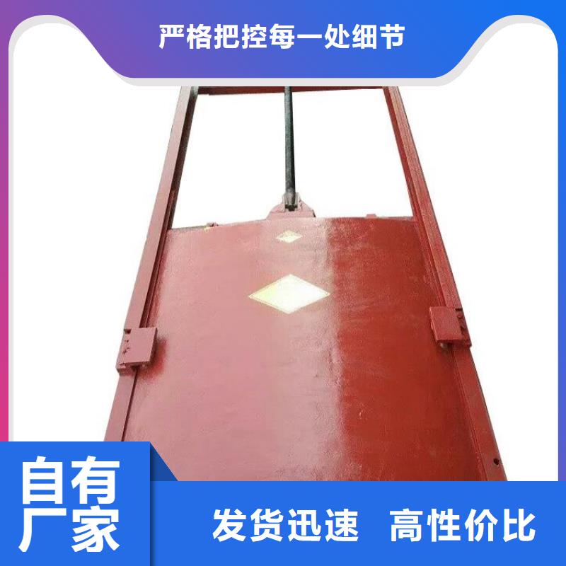 铸铁闸门扇形闸门专业设计
